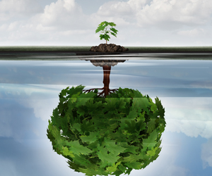 Jan_Visionary_300x250